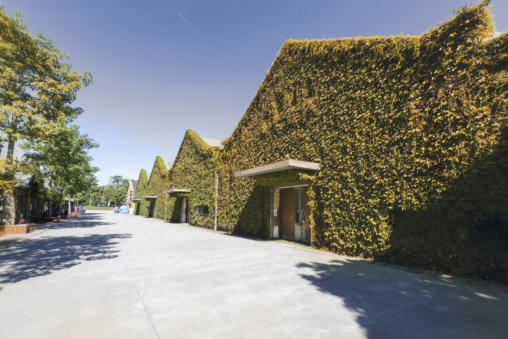 E2 Silian (Four-in-a-Row) Building